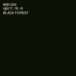 #0B1204 - Black Forest Color Image